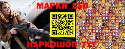 стафф Кингисепп