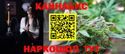 стафф Кингисепп