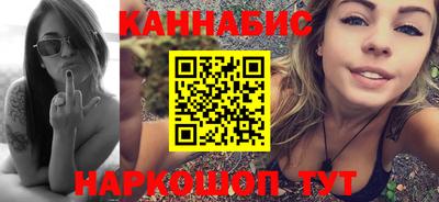 стафф Кингисепп