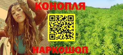 стафф Кингисепп