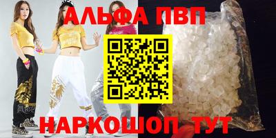 стафф Кингисепп