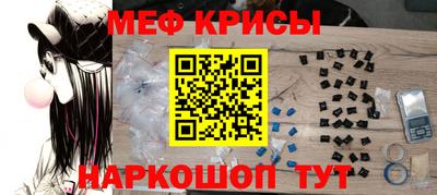 стафф Кингисепп